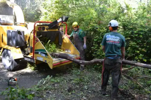 tree services Benton